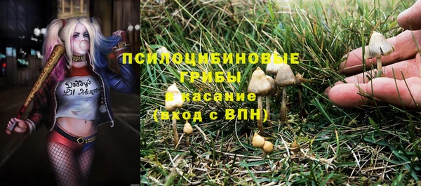 jwh Богородицк