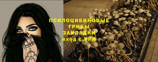 jwh Богородицк